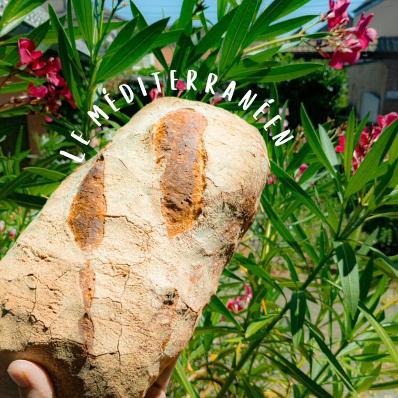 Le Méditerranéen